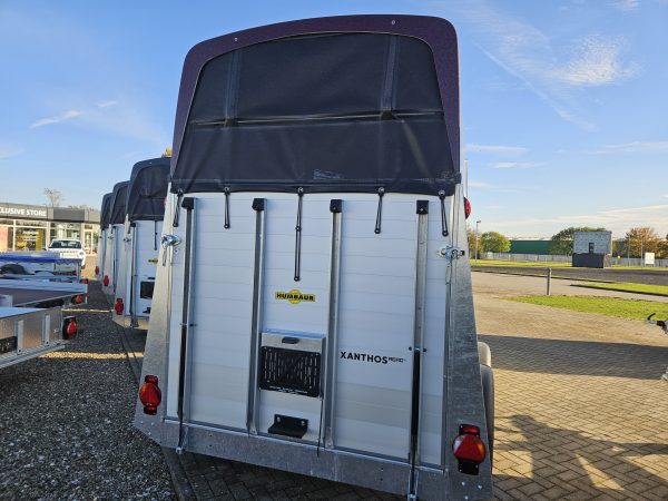 Xanthos Aero 2400 purple red – Bild 3